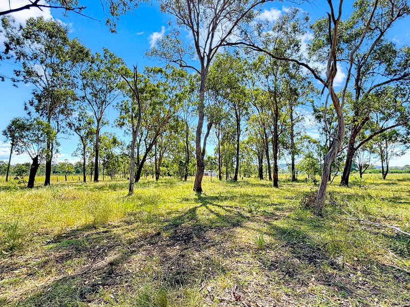 Photo - 4-16 Byrne Road, Thagoona QLD 4306 - Image 7