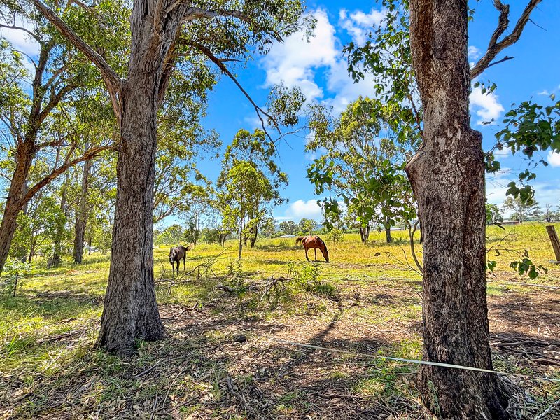 Photo - 4-16 Byrne Road, Thagoona QLD 4306 - Image 15