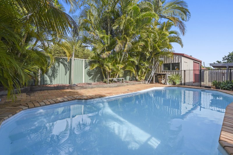 Photo - 4 Alpine Street, Keperra QLD 4054 - Image 16