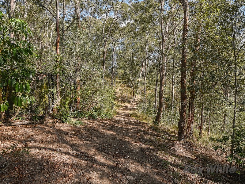 Photo - 4 Amamoor Court, Cashmere QLD 4500 - Image 18