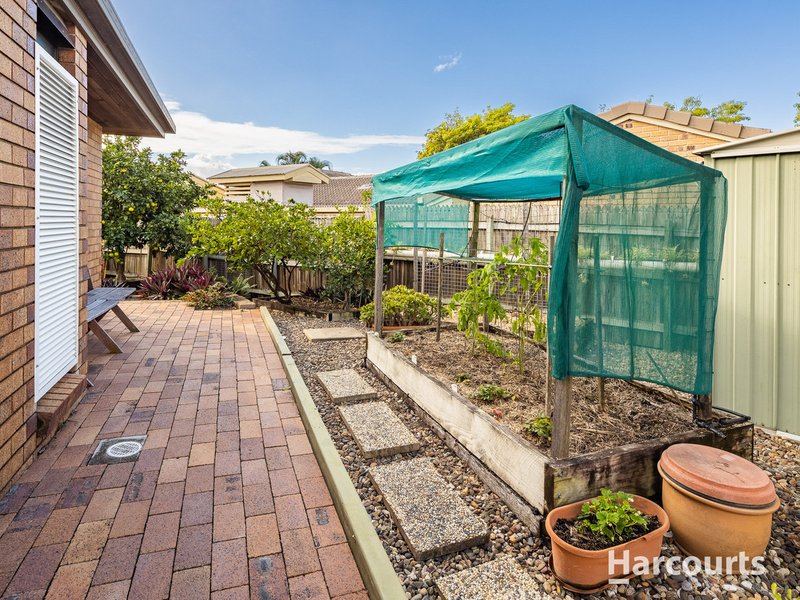 Photo - 4 Arapala Court, Carseldine QLD 4034 - Image 15