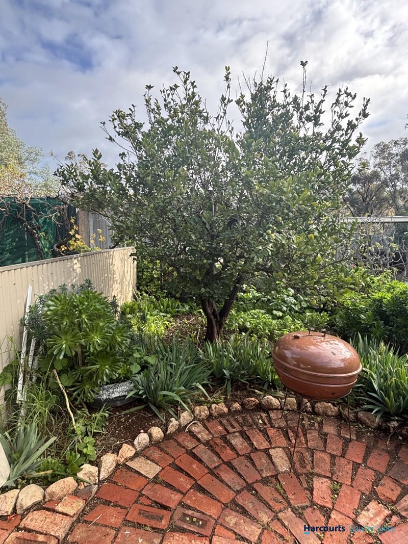 Photo - 4 Archer Street, Hamley Bridge SA 5401 - Image 18