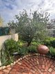 Photo - 4 Archer Street, Hamley Bridge SA 5401 - Image 18