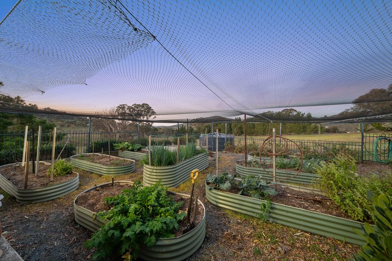 Photo - 4 Arena Place, Royalla NSW 2620 - Image 23