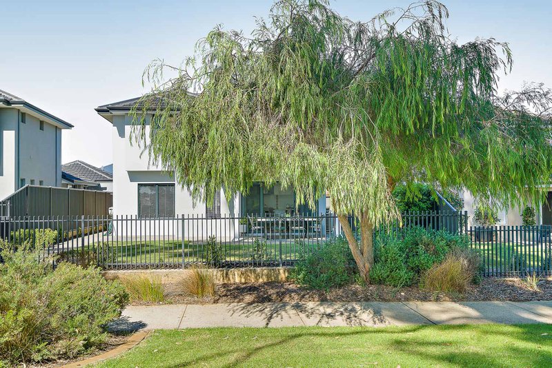 Photo - 4 Banpo Lane, Baldivis WA 6171 - Image 6