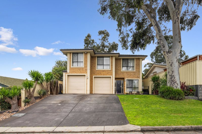 Photo - 4 Beagle Street, Flagstaff Hill SA 5159 - Image 23