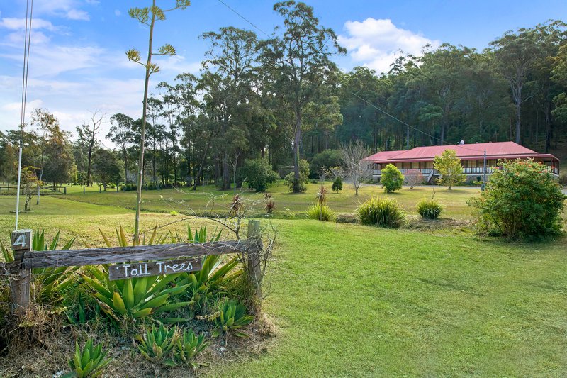 Photo - 4 Bellbird Close, Kew NSW 2439 - Image 14