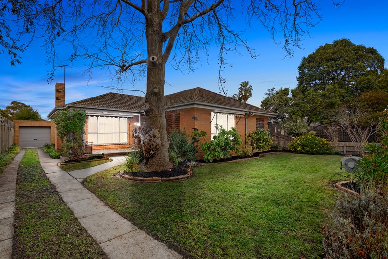 4 Berkefeld Court, Cheltenham VIC 3192