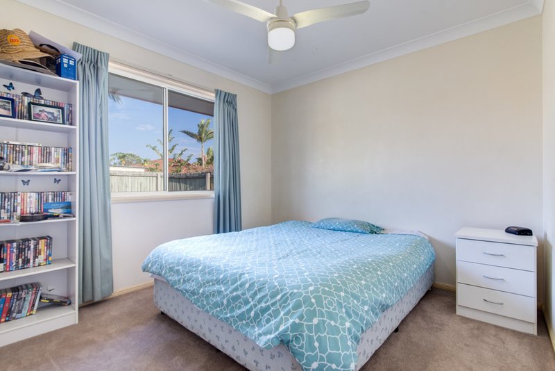 Photo - 4 Bernheid Crescent, Sippy Downs QLD 4556 - Image 8