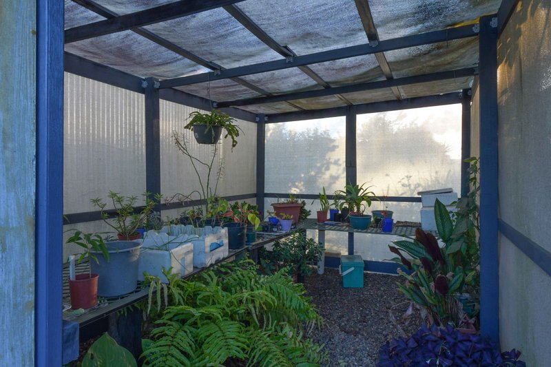 Photo - 4 Blair Street, Proserpine QLD 4800 - Image 18