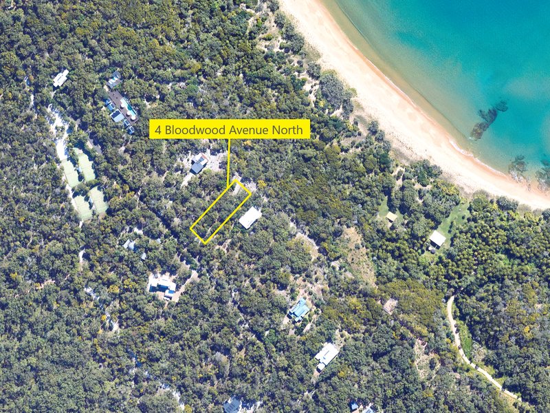 Photo - 4 Bloodwood Avenue, Agnes Water QLD 4677 - Image 7