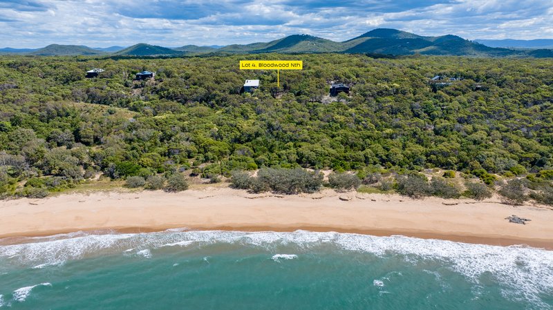 Photo - 4 Bloodwood Avenue, Agnes Water QLD 4677 - Image 8