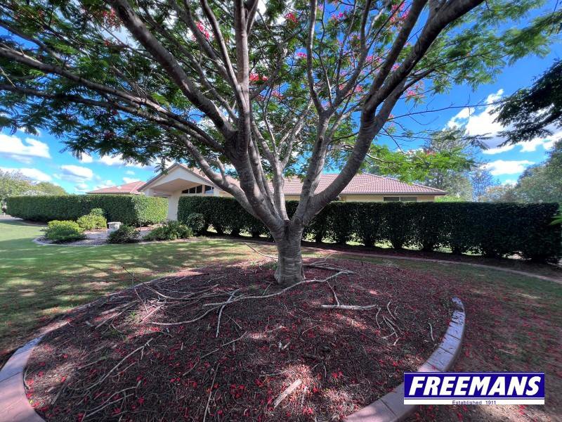 Photo - 4 Brittany Court, Kingaroy QLD 4610 - Image 3