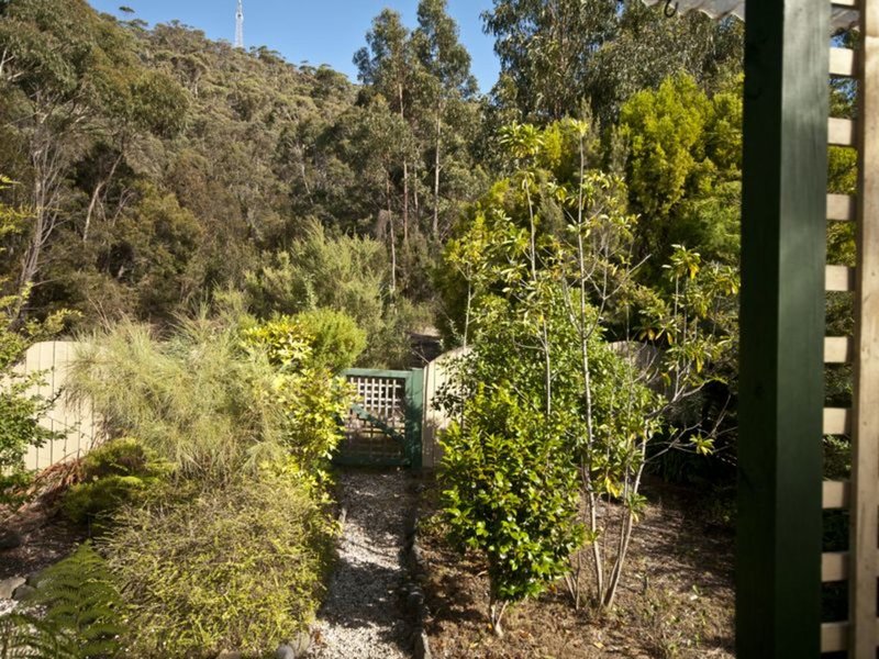 Photo - 4 Burgess Street, Bicheno TAS 7215 - Image 17