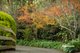 Photo - 4 Campbell Avenue, Crafers SA 5152 - Image 31