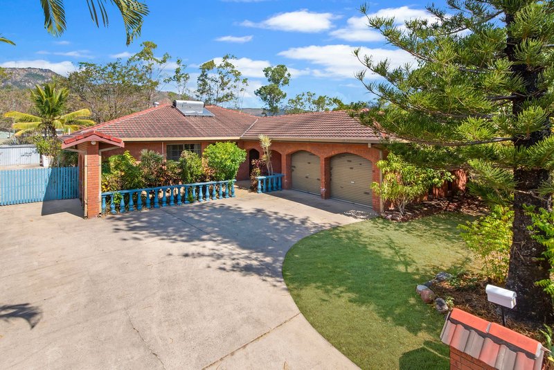 4 Cassia Court, Annandale QLD 4814