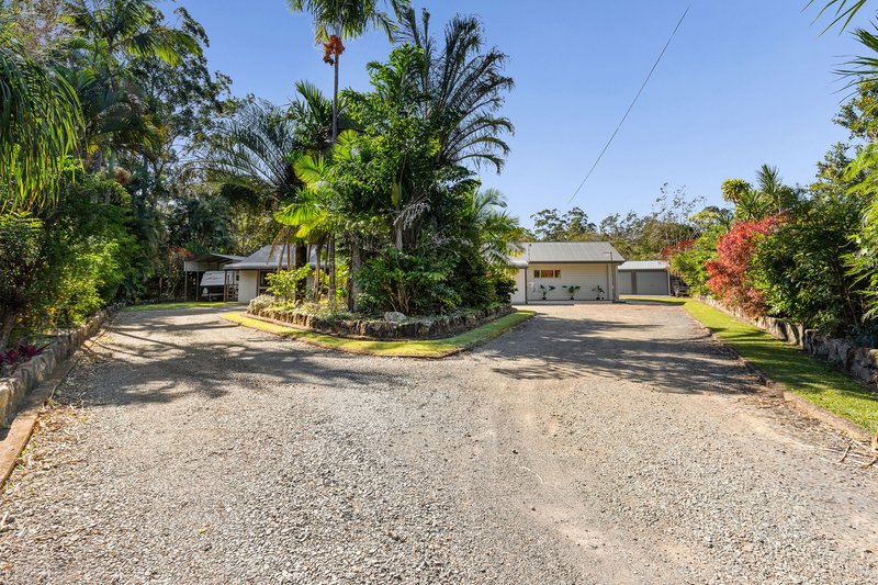 Photo - 4 Castlereagh Court, Beerwah QLD 4519 - Image 3