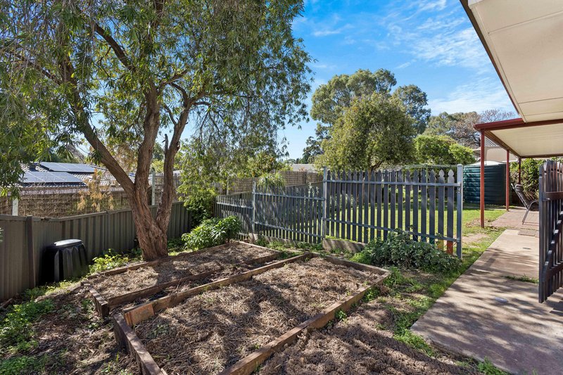 Photo - 4 Casuarina Avenue, Surrey Downs SA 5126 - Image 19