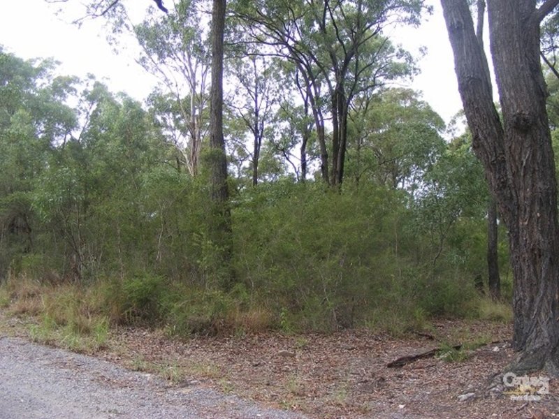 Photo - 4 Central Ave , Bundabah NSW 2324 - Image 3