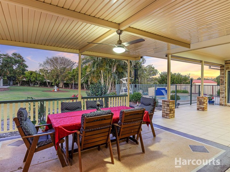 Photo - 4 Champagne Court, Morayfield QLD 4506 - Image 17