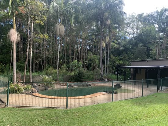 Photo - 4 Chevallum Rd , Palmwoods QLD 4555 - Image 15