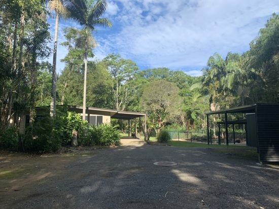 Photo - 4 Chevallum Rd , Palmwoods QLD 4555 - Image 19