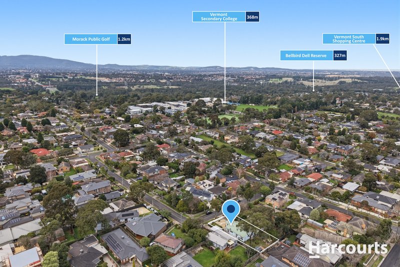 Photo - 4 Clematis Street, Vermont VIC 3133 - Image 20