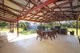 Photo - 4 Clissold Court, Biloela QLD 4715 - Image 5