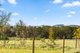 Photo - 4 Coghill Street, Majors Creek NSW 2622 - Image 17