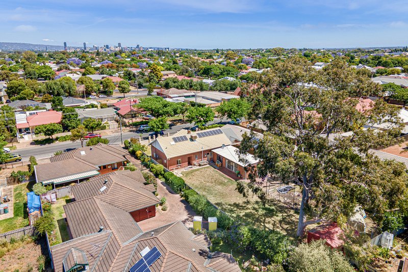 Photo - 4 Collingrove Avenue, Broadview SA 5083 - Image 17