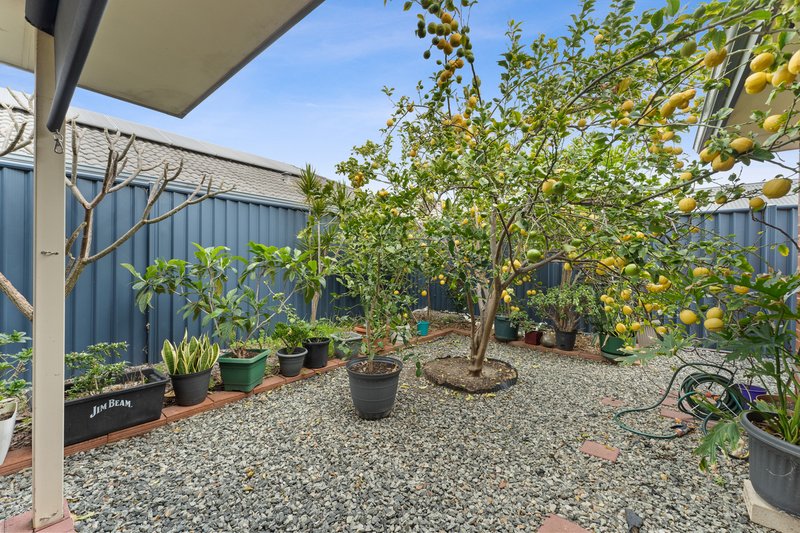 Photo - 4 Coolabah Way, Baldivis WA 6171 - Image 23