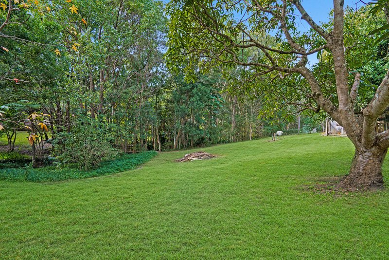 Photo - 4 Coorabin Court, Tallebudgera QLD 4228 - Image 19