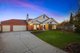 Photo - 4 Cottesloe Place, Alfredton VIC 3350 - Image 1