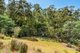 Photo - 4 Cranes Road, Dromedary TAS 7030 - Image 24