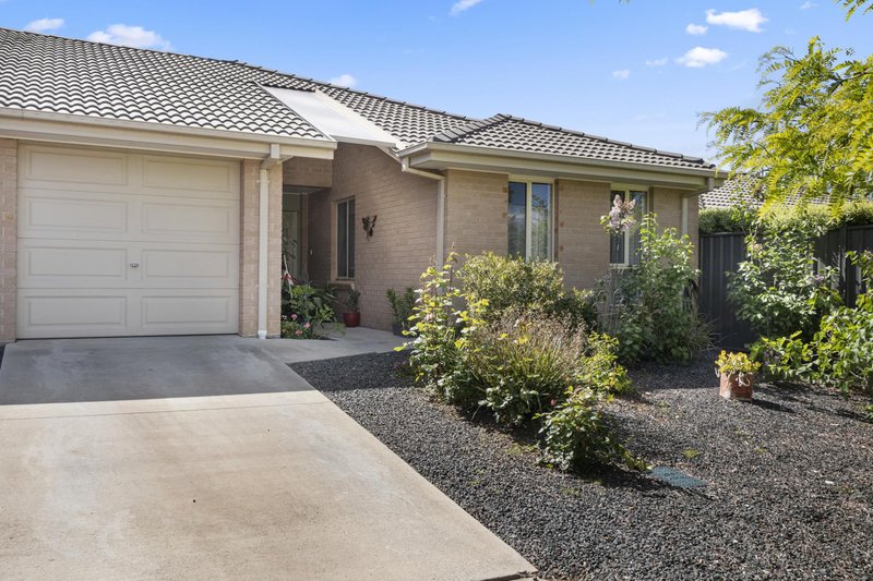 Photo - 4 Dagmar Berne Street, Macgregor ACT 2615 - Image 3