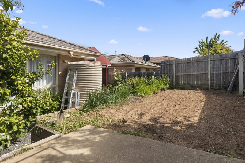 Photo - 4 Dagmar Berne Street, Macgregor ACT 2615 - Image 15