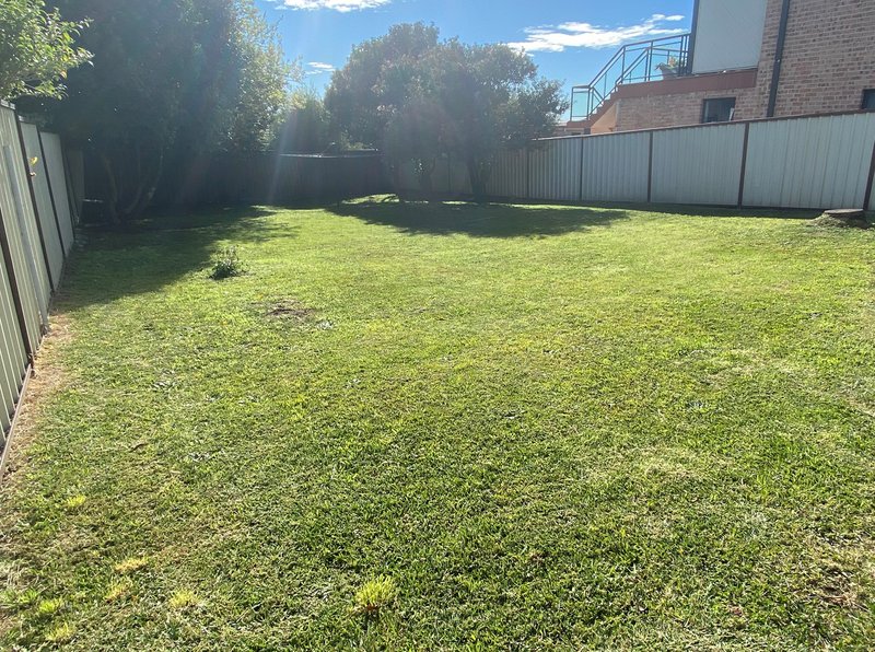 Photo - 4 Dellwood Ave , Earlwood NSW 2206 - Image 5