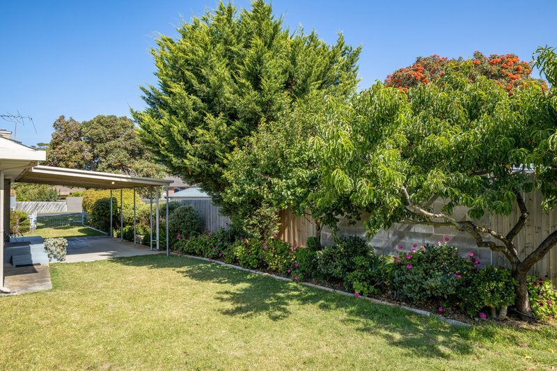 Photo - 4 Doig Avenue, Tootgarook VIC 3941 - Image 13