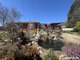 Photo - 4 Dougherty Place, Orange NSW 2800 - Image 2