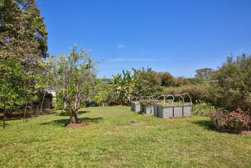 Photo - 4 Eacham Road, Yungaburra QLD 4884 - Image 18