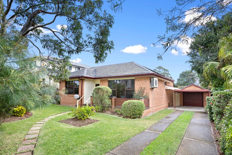 Photo - 4 Edinburgh Road, Forestville NSW 2087 - Image 8