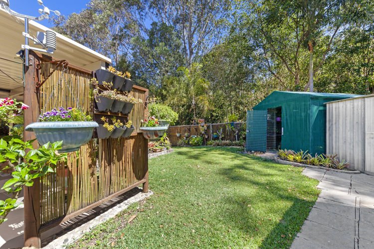 Photo - 4 Fernlea Street, Burnside QLD 4560 - Image 10