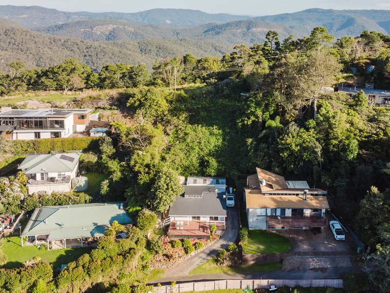 Photo - 4 Ferntree Lane, Lower Beechmont QLD 4211 - Image 21