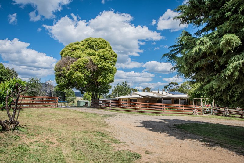 Photo - 4 Fettlers Lane, Tumbarumba NSW 2653 - Image 7