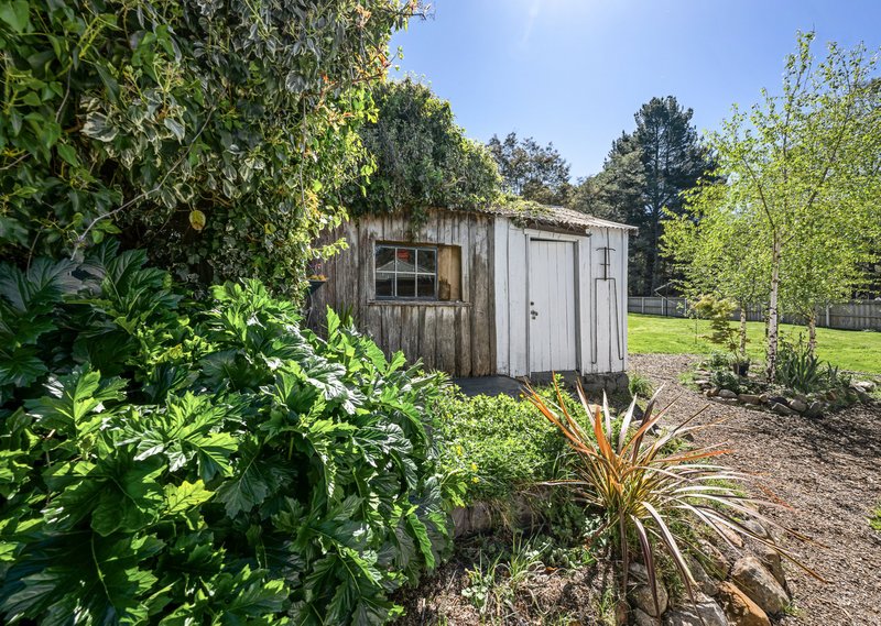 Photo - 4 Franks Street, St Marys TAS 7215 - Image 16