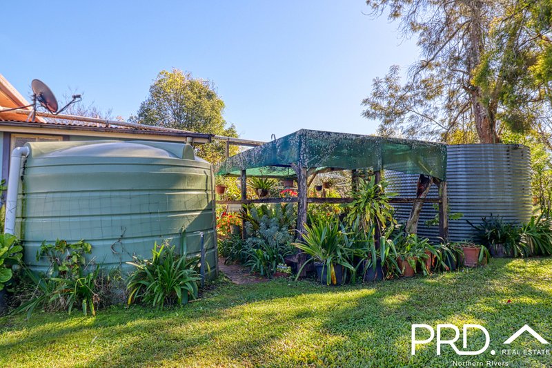 Photo - 4 Gleeson Street, Wiangaree NSW 2474 - Image 13