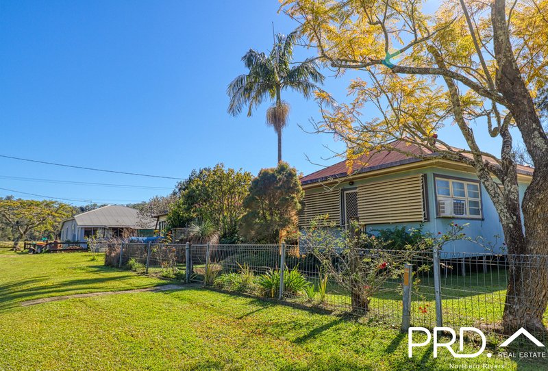 Photo - 4 Gleeson Street, Wiangaree NSW 2474 - Image 18