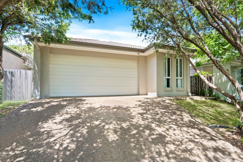 Photo - 4 Gunther Avenue, Coomera QLD 4209 - Image 3