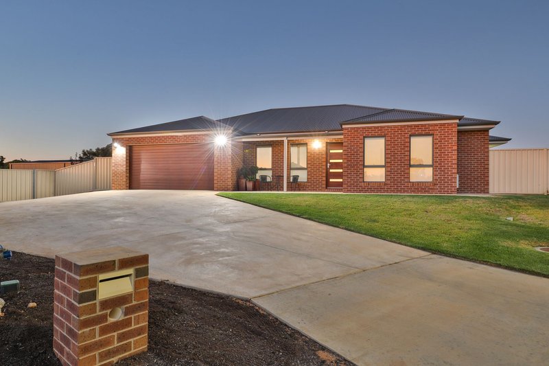 4 Habitat Court, Irymple VIC 3498