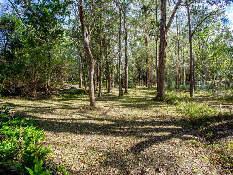 Photo - 4 Hackworth Court, Worongary QLD 4213 - Image 4